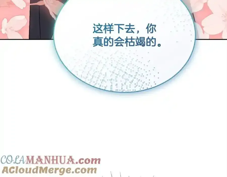 第196话 终成眷属116