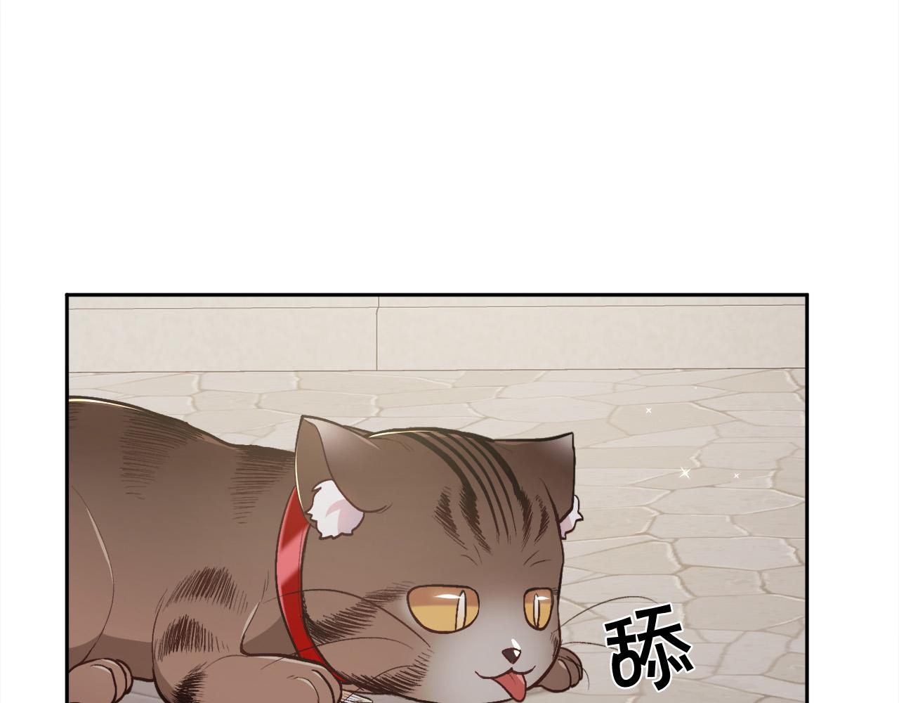 第119话 泰拉登场！78