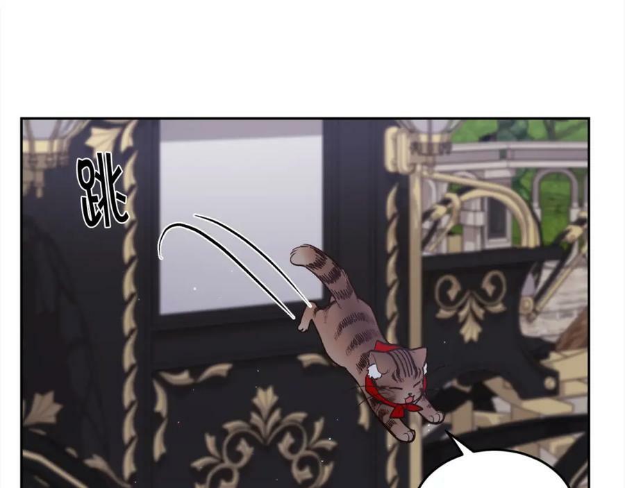 第162话 到底隐瞒了什么？65