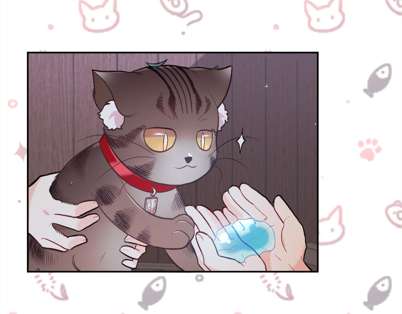 第119话 泰拉登场！127
