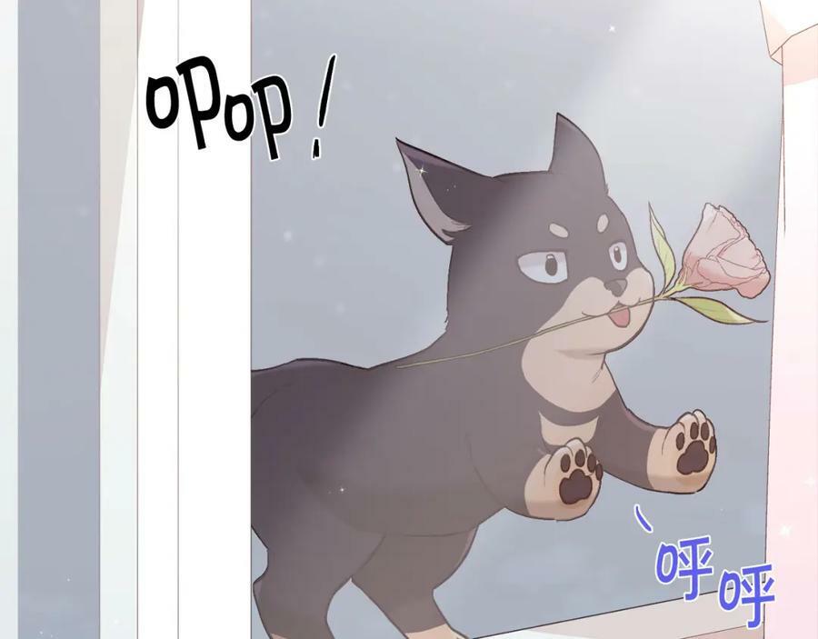 第152话 哥哥，对不起T^T30