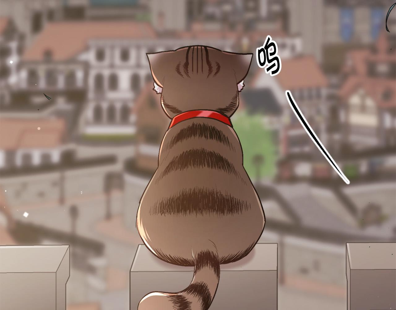 第119话 泰拉登场！105