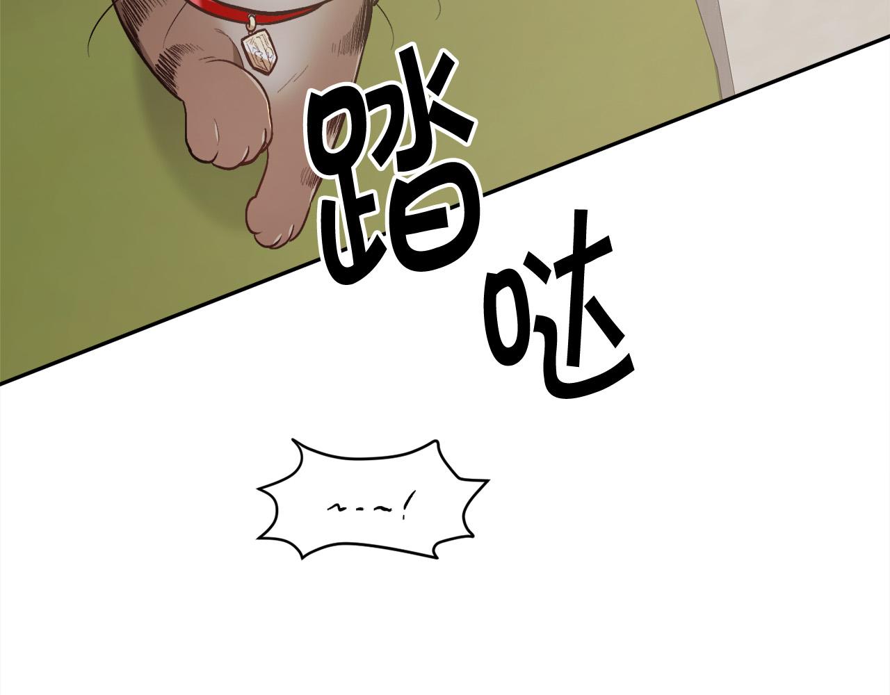第119话 泰拉登场！87