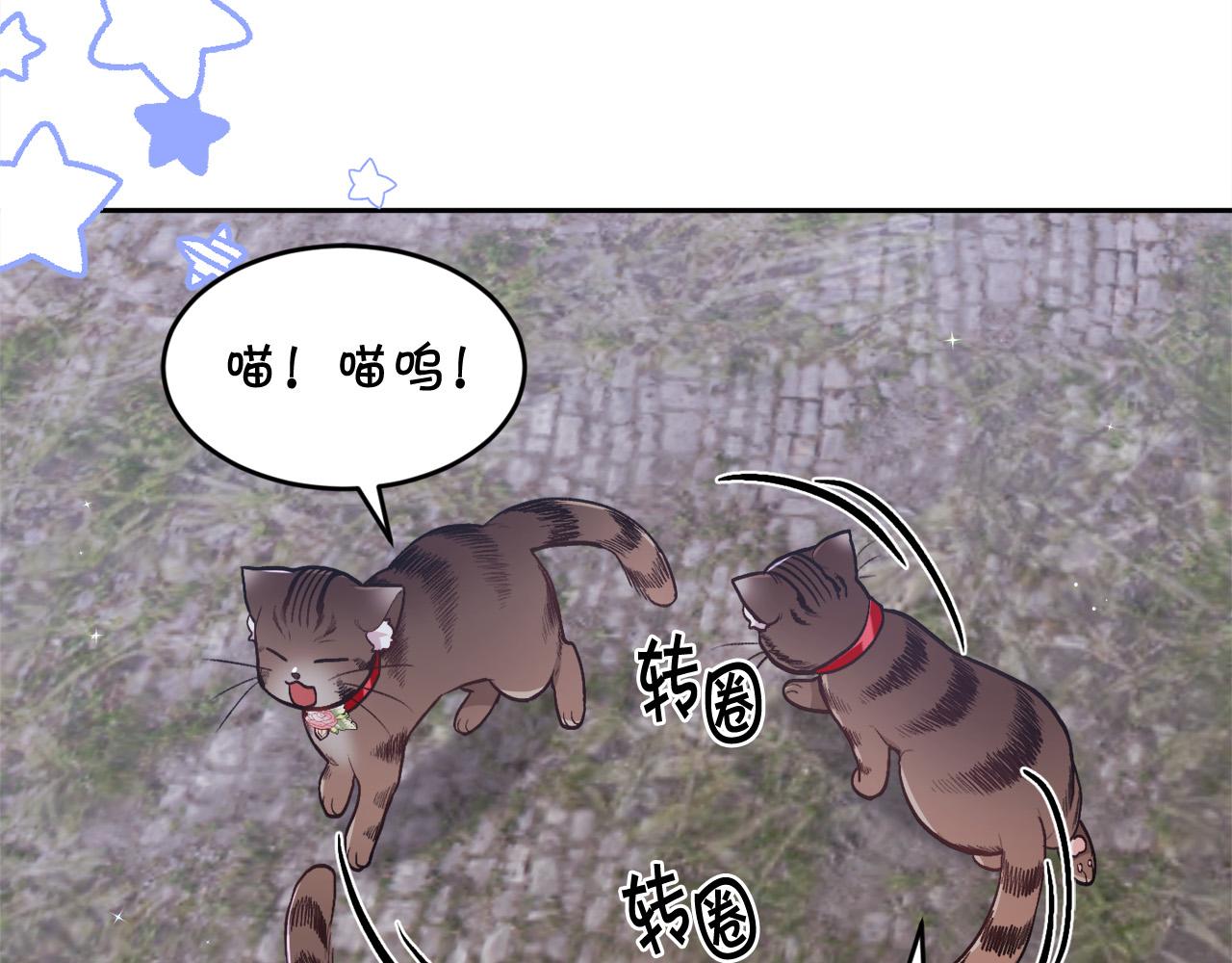 第123话 泰拉变身！41