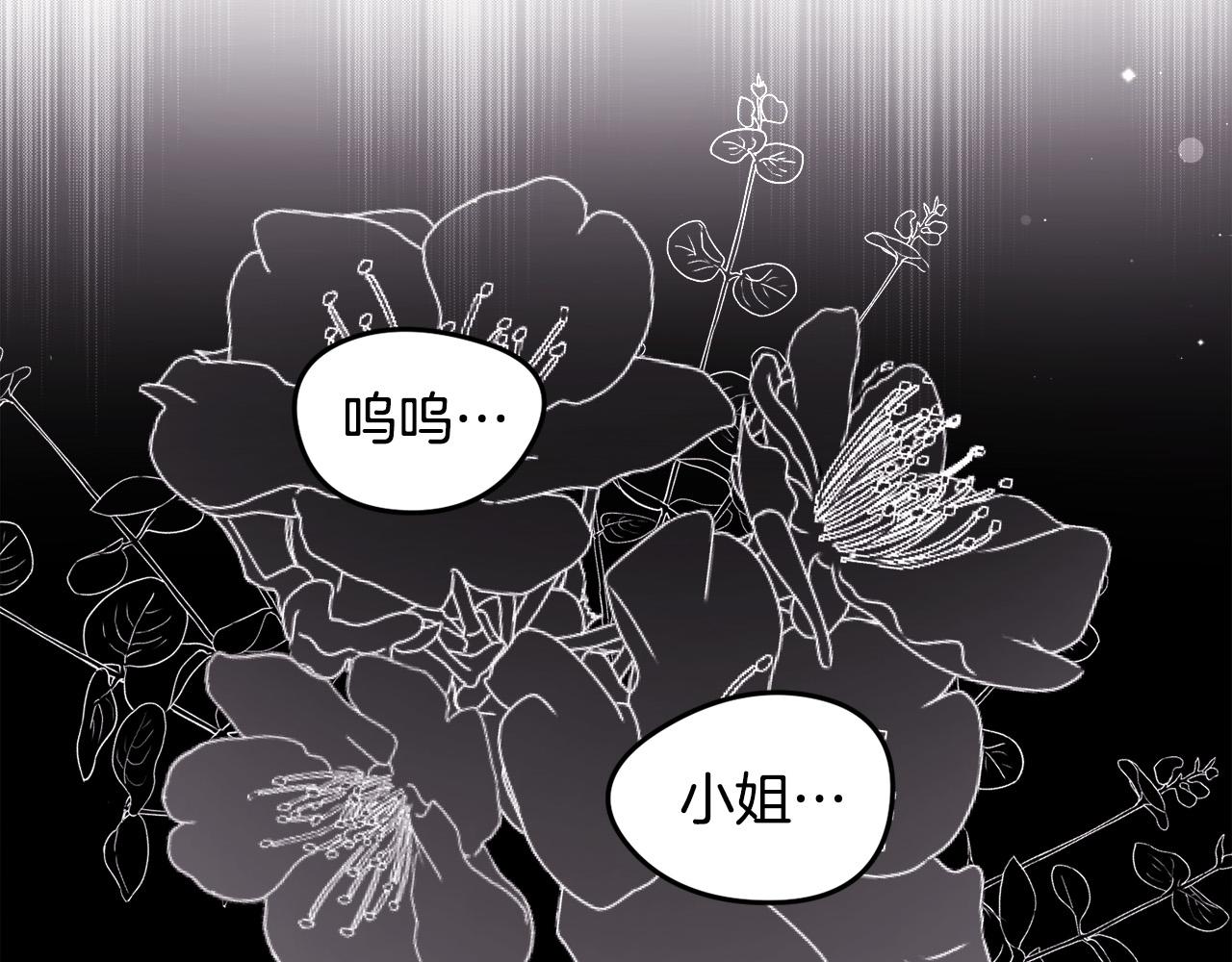 第119话 泰拉登场！36