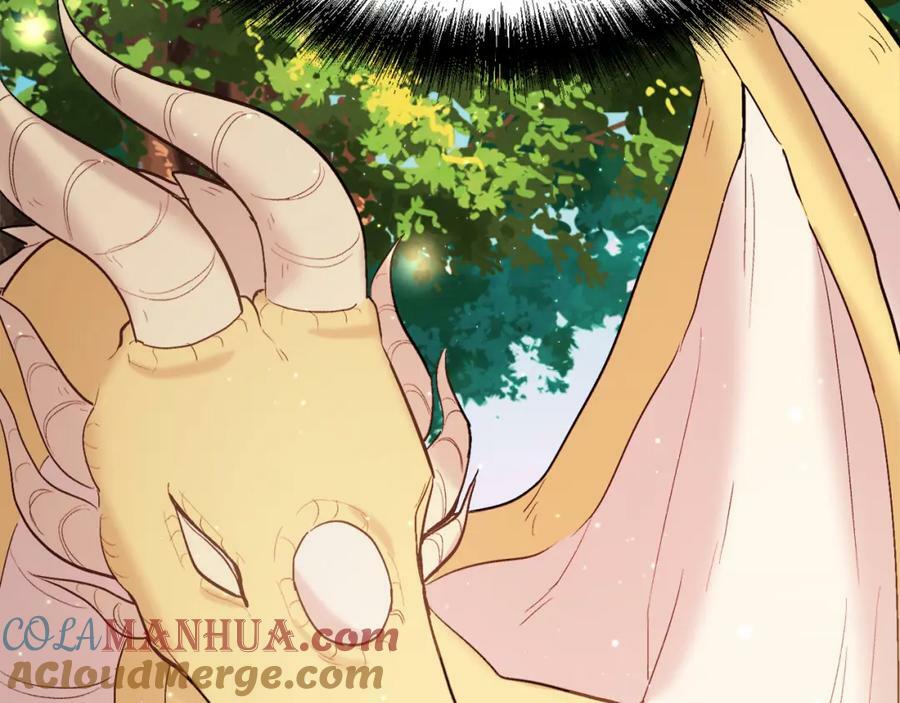 第160话 精灵王的祝福164