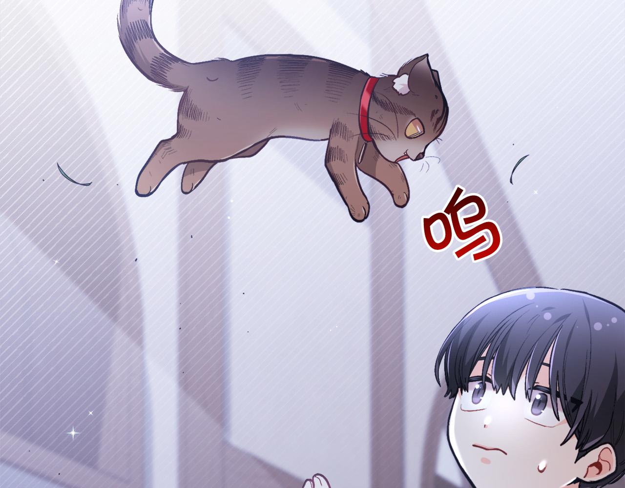 第119话 泰拉登场！6