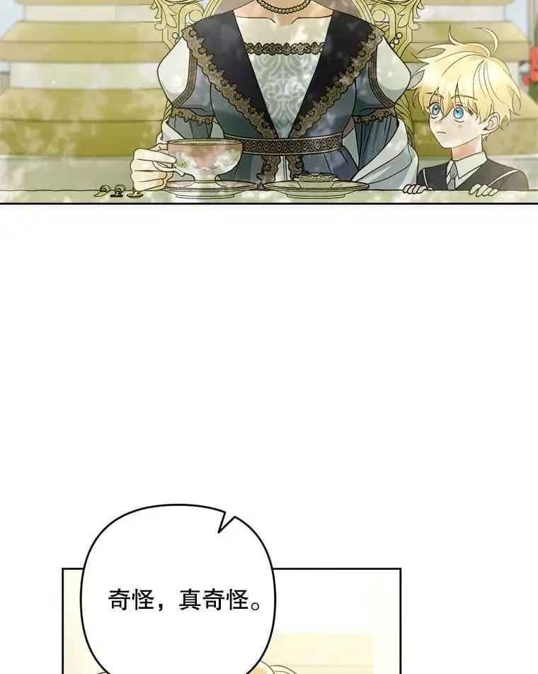 51.皇后的茶话会57