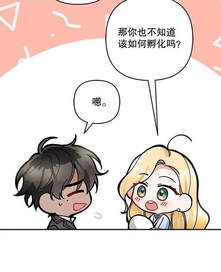 53.招待会42