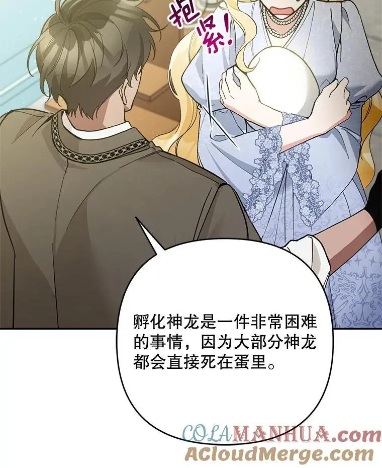 53.招待会36