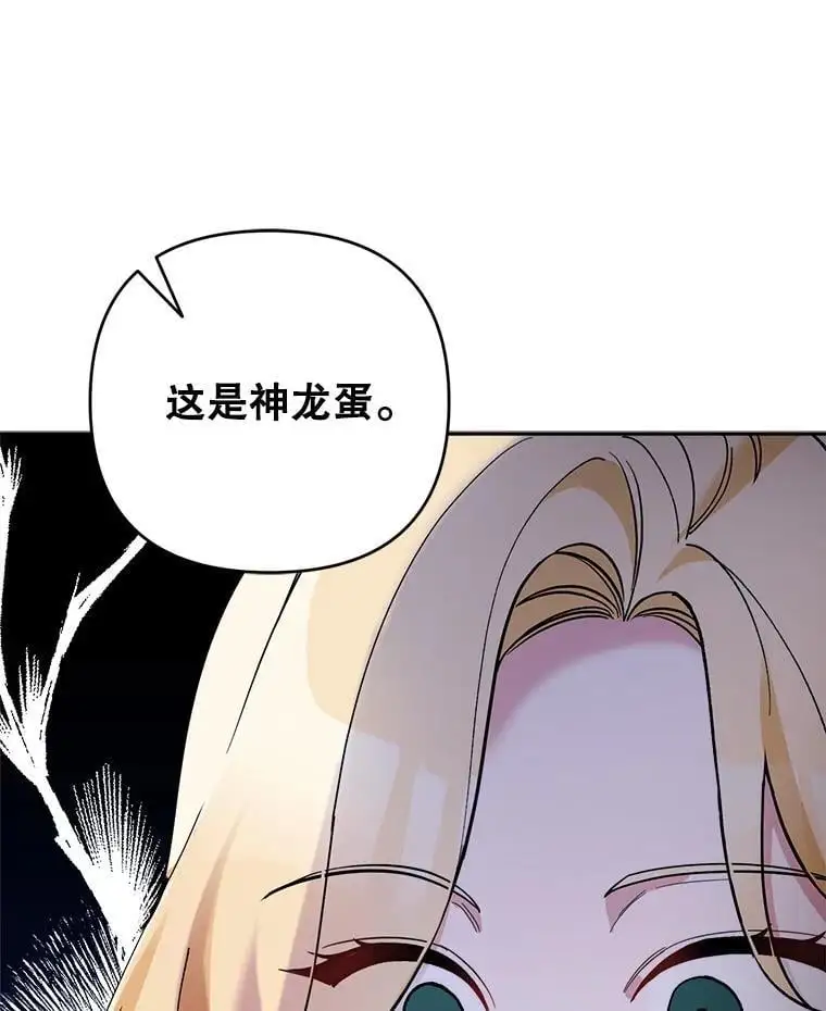53.招待会33