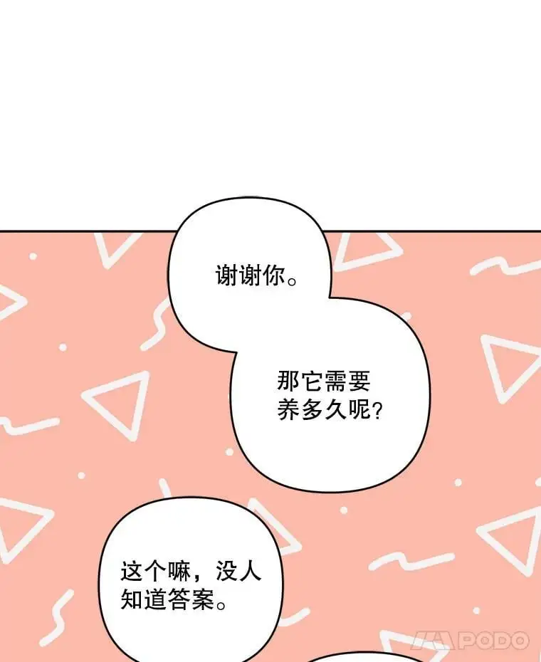 53.招待会41