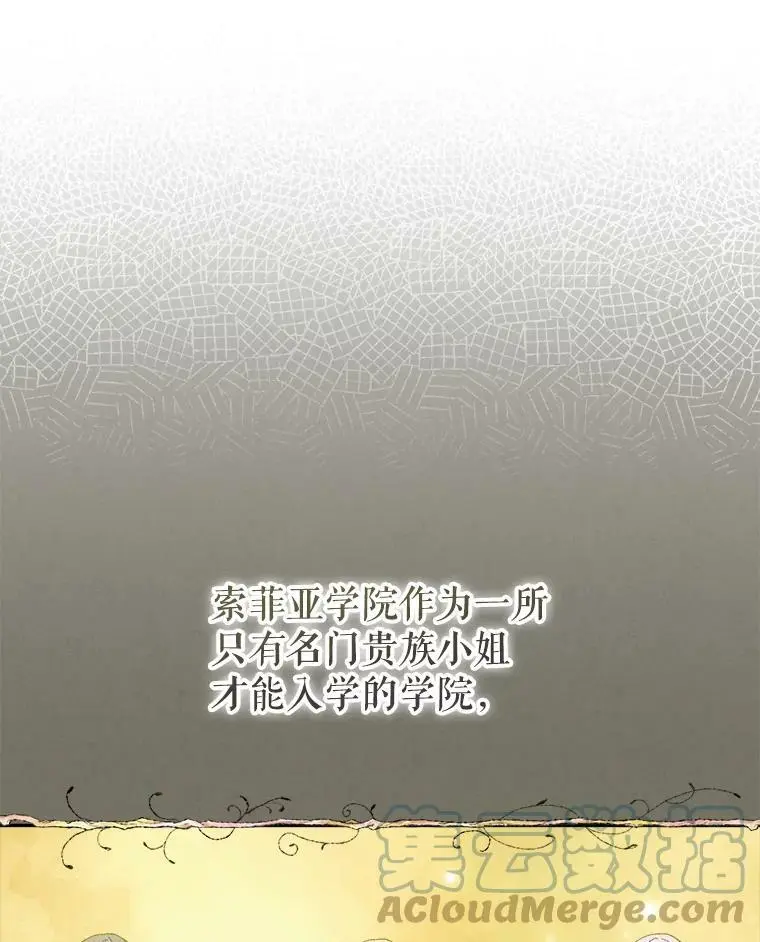 37.委托书52