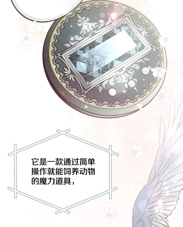 73.发布会42