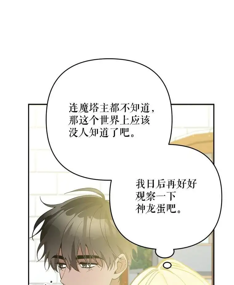 53.招待会43