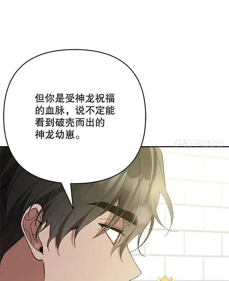 53.招待会37