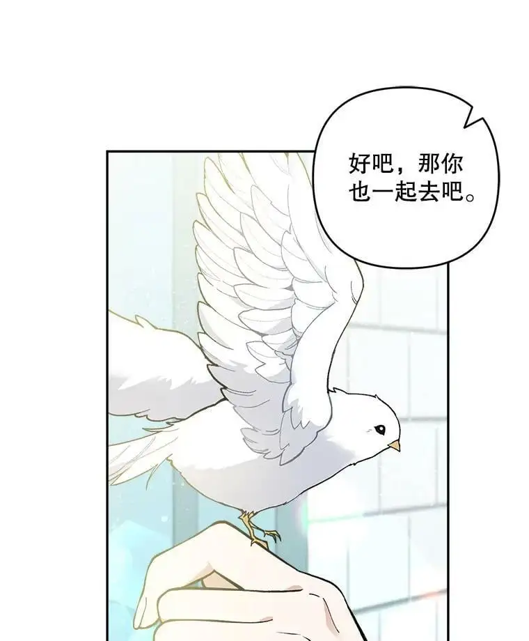 41.断绝关系34
