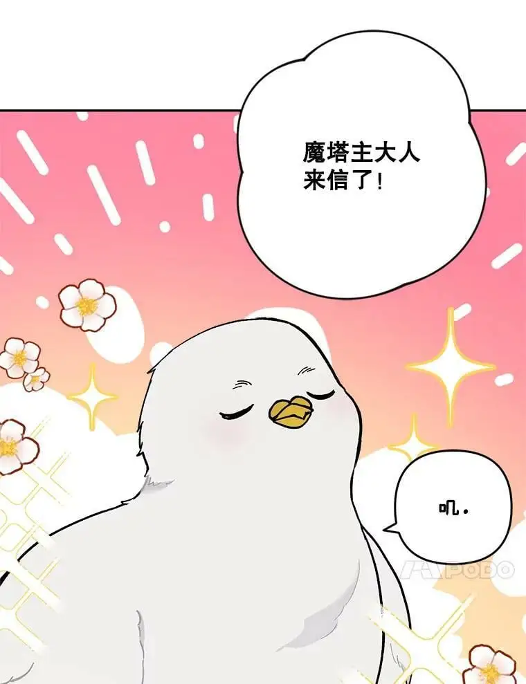 27.寻找丈夫人选25