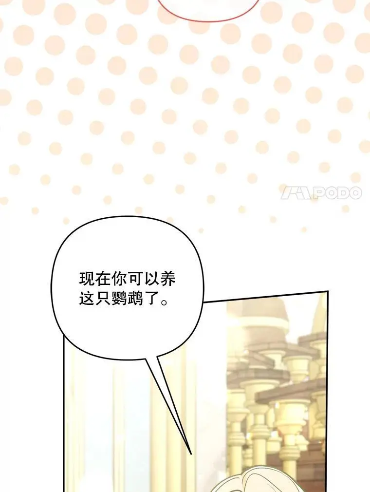 68.奇迹浮现26