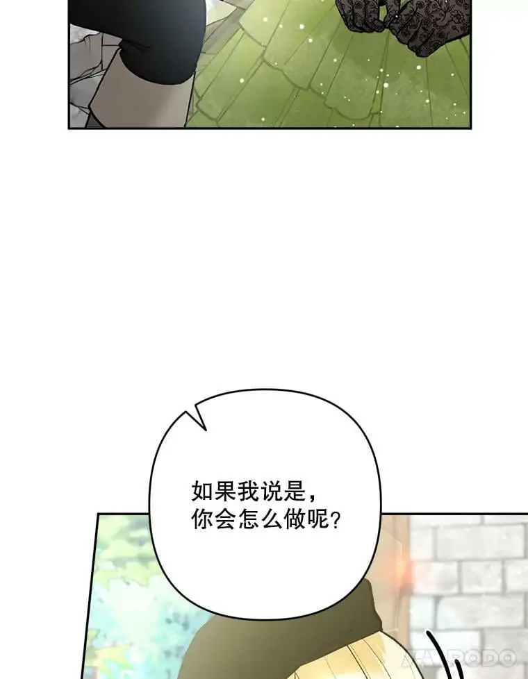 44.伙伴41