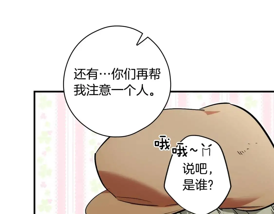 第85话 调查123