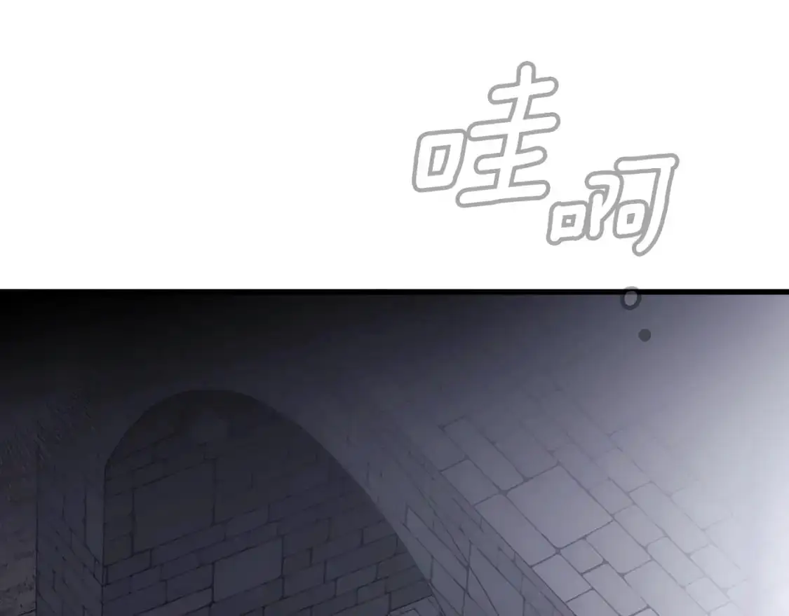 第111话 各显其能117