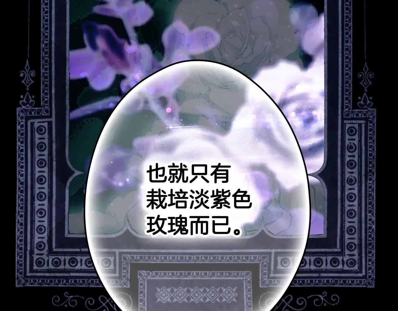第134.1话 无言的玫瑰267