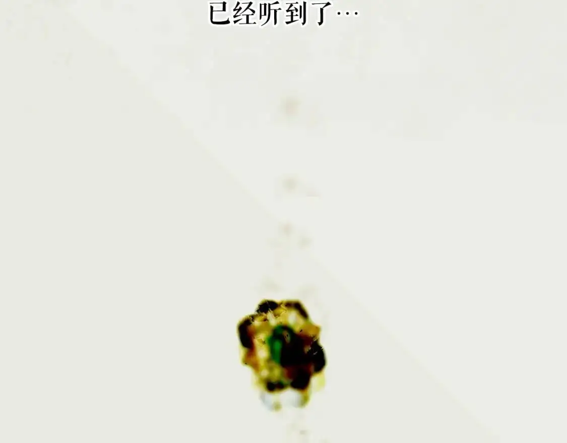 第81话 你的价值168