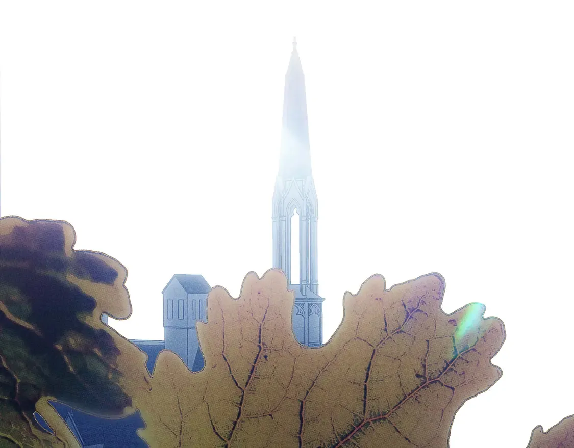 第131话 渺小176