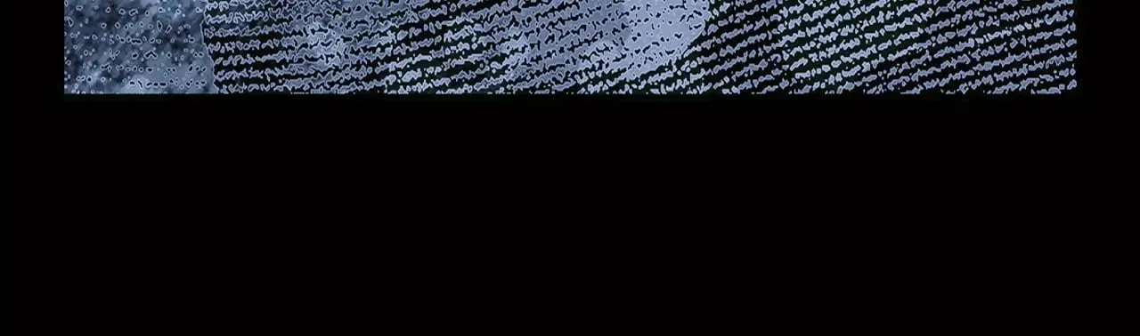 第134话下 完美的存在303