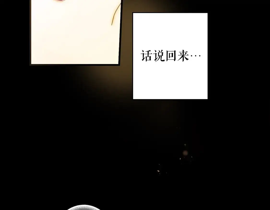 第94话 没有来处的宝石盒154