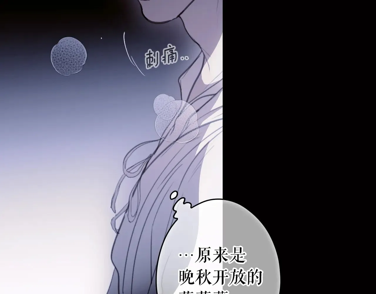 第134话下 完美的存在323