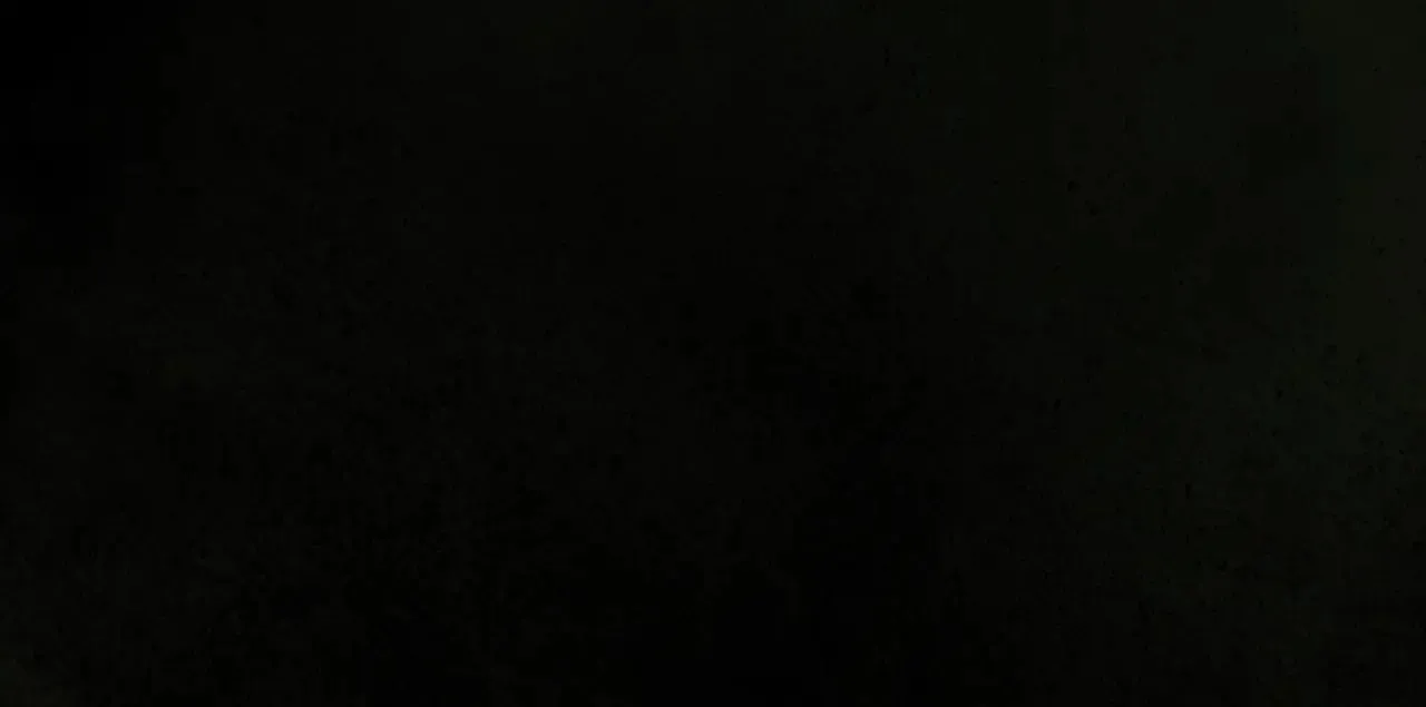 第134.1话 无言的玫瑰318