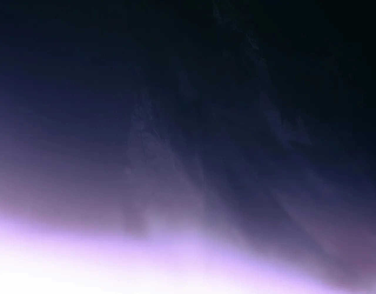第134.1话 无言的玫瑰278