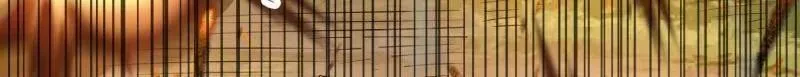 第464话 463 撤回长城95