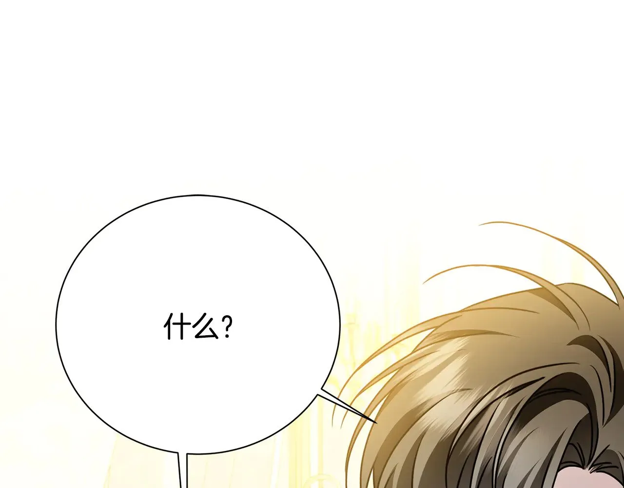 番外 第3话 皇宫有喜事12