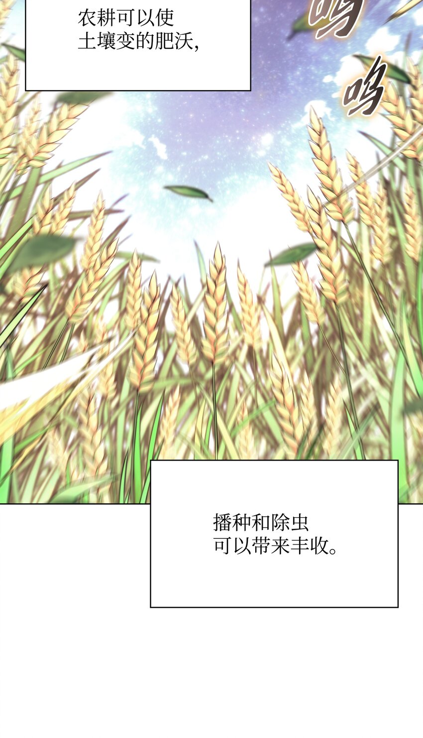 135 土地、剑与我137