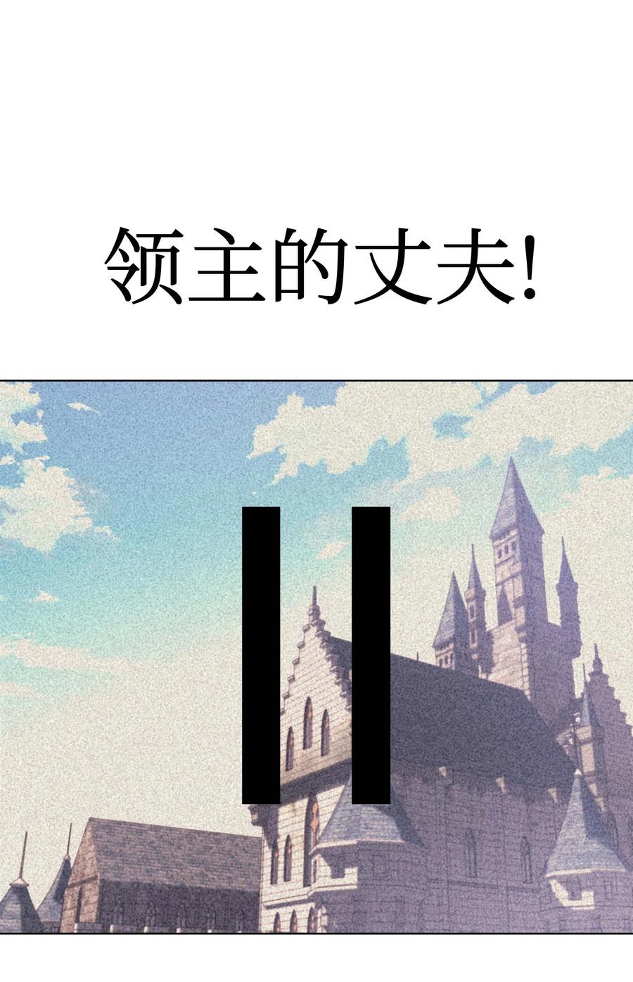 050 护卫领主78