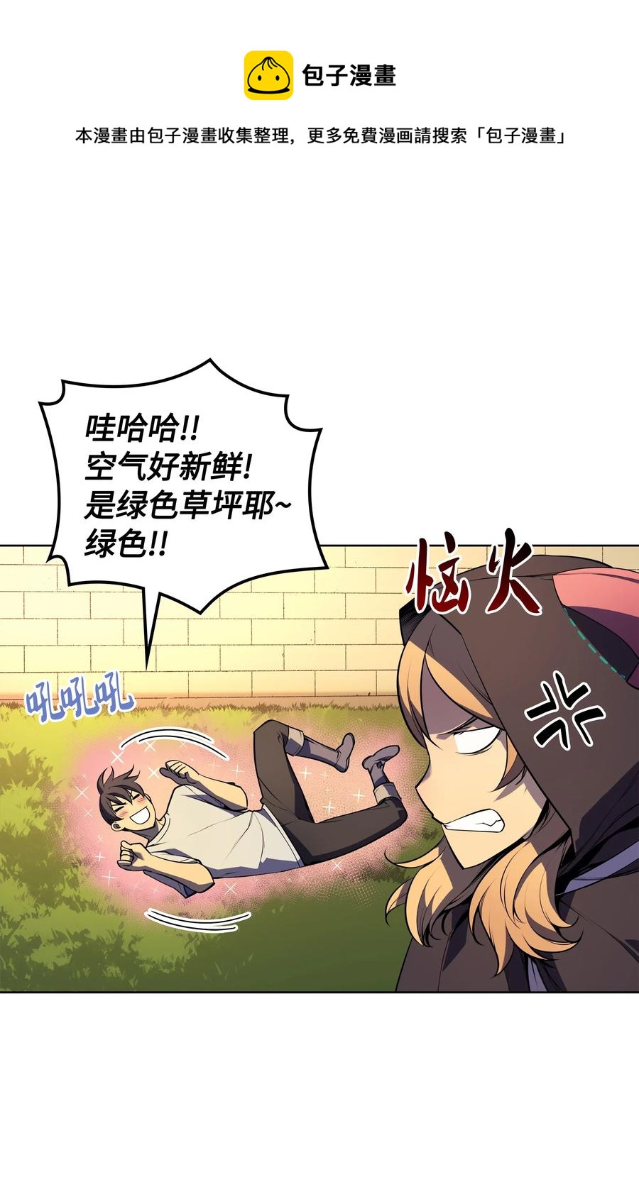 028 拉彼特的提议6