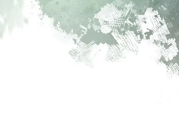 第56话 投诚172