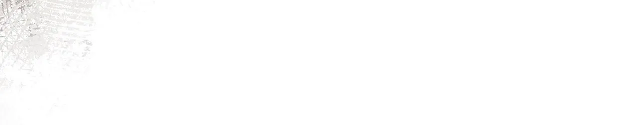 第55话 王室护卫163