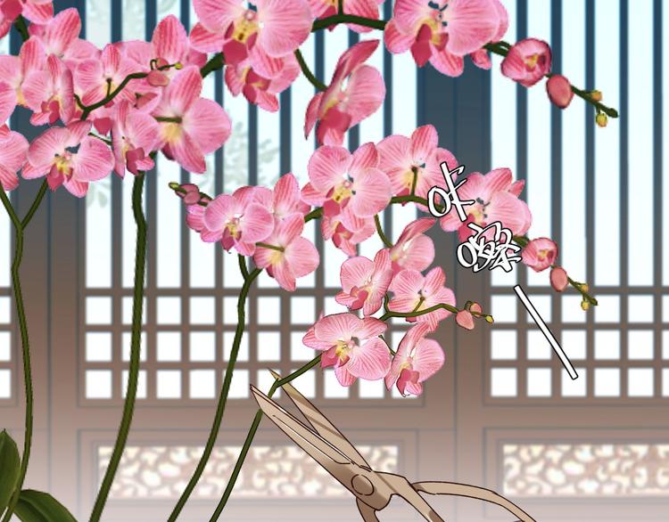 第13话 被找麻烦79