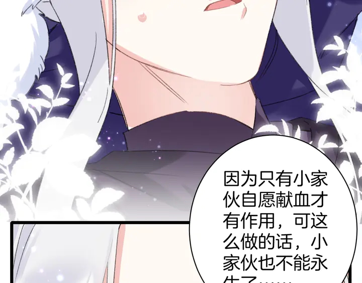 完结篇 与你共看南楚盛世41