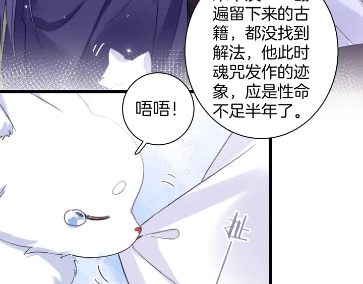 完结篇 与你共看南楚盛世32