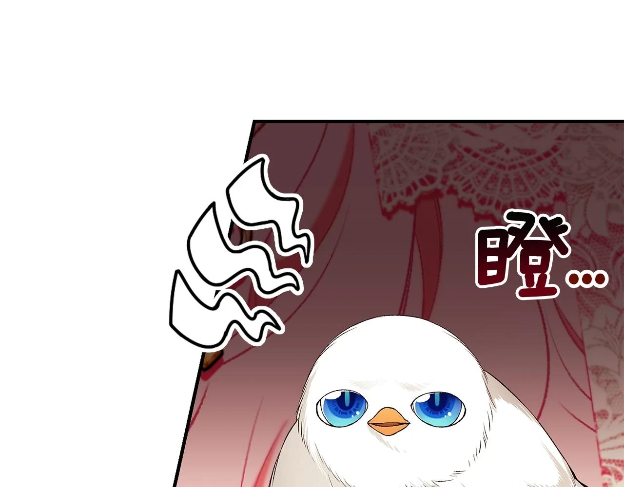 第65话 下定决心表白了236