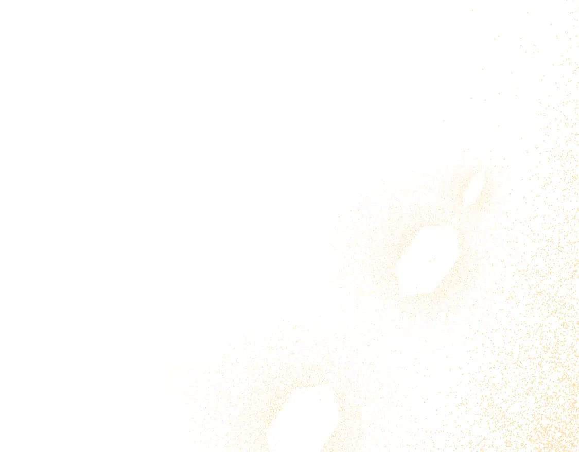 第74话 你是我的救赎219