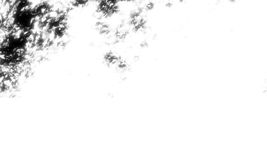 第80话 你怎么会在这242