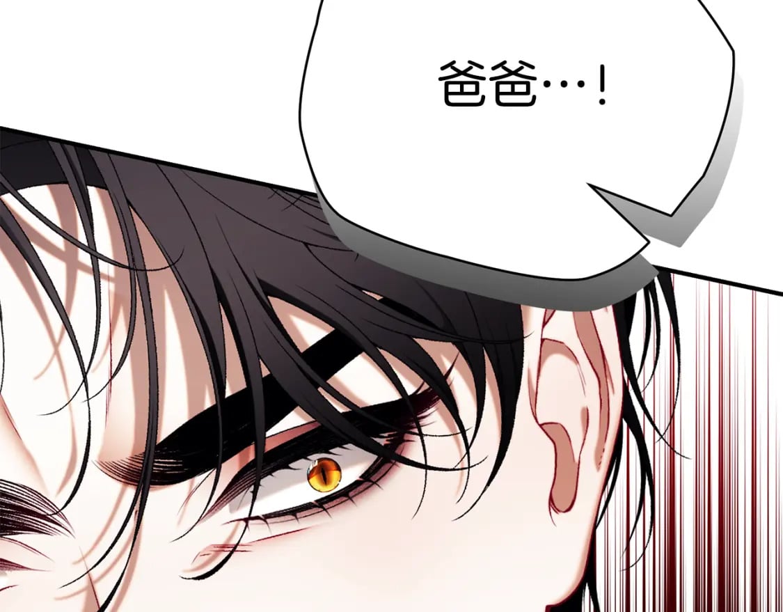 第70话 我的回答是106