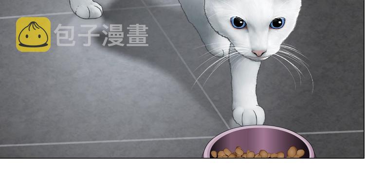 第52话 投缘？54