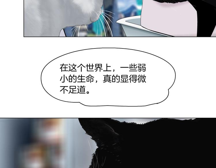 第52话 投缘？66